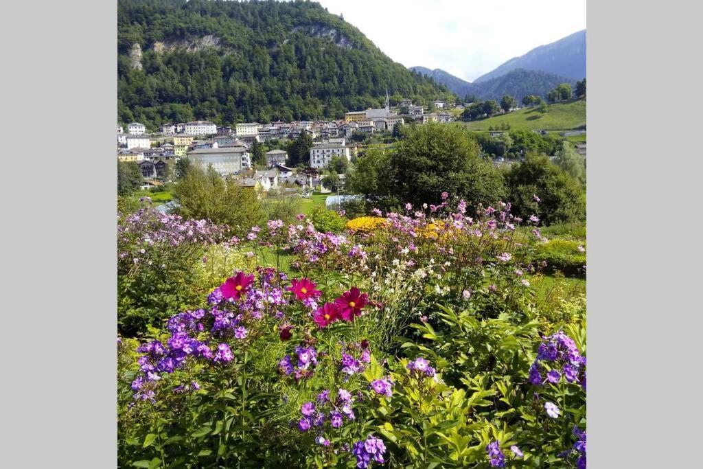 Chalet Maso Fradea Family Resort Castello Tesino Exterior photo